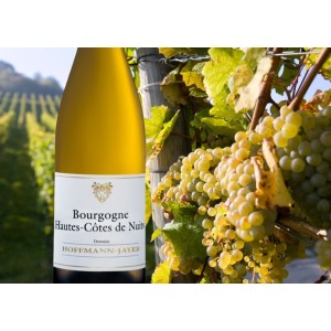 Domaine Hoffman Jayer Hautes Cotes de Nuit 2022